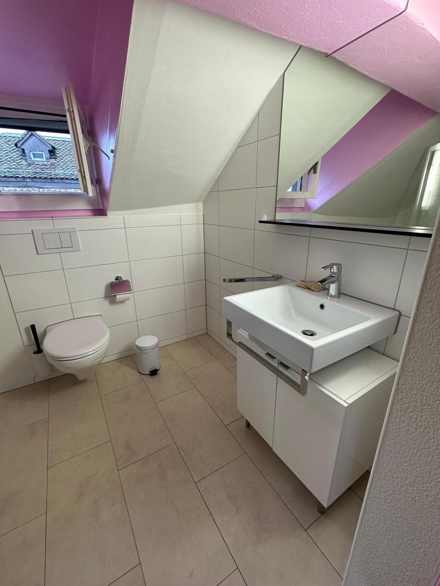 Hitrental Limmatquai Apartment Curych Exteriér fotografie